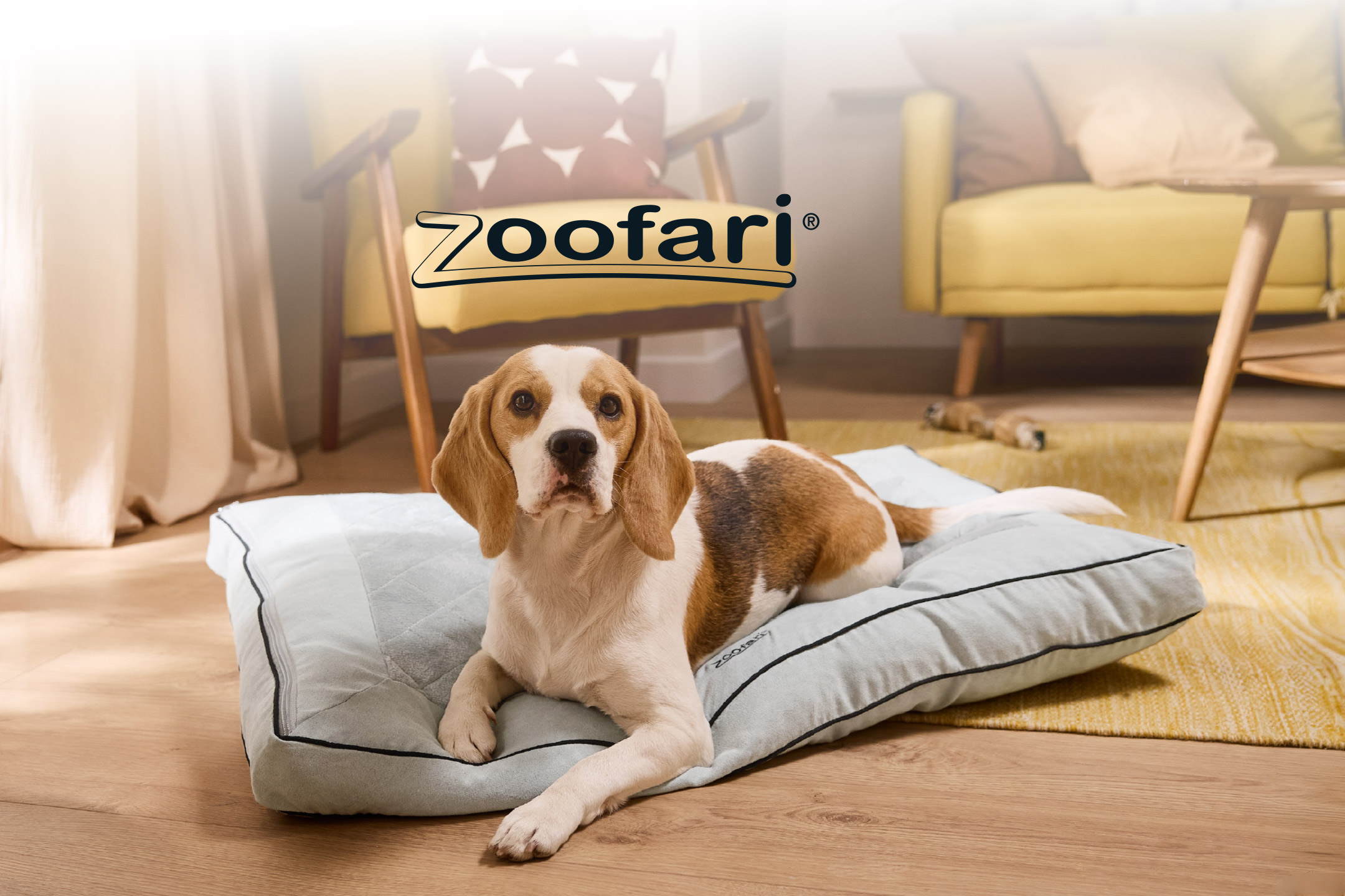 A beagle dog lying on a light blue dog bed on a wooden floor.