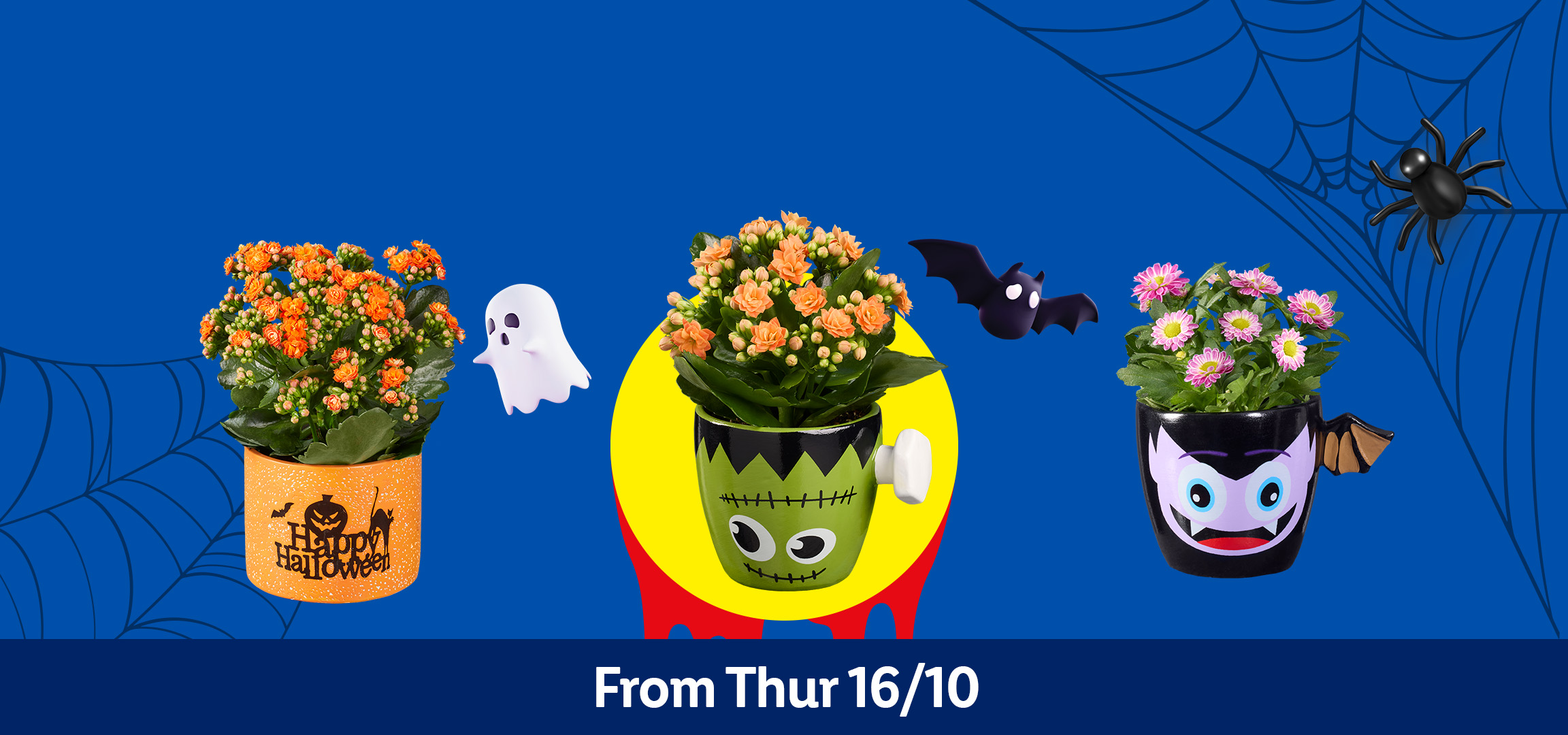 Halloween-themed potted plants in decorative pots with spooky figures.