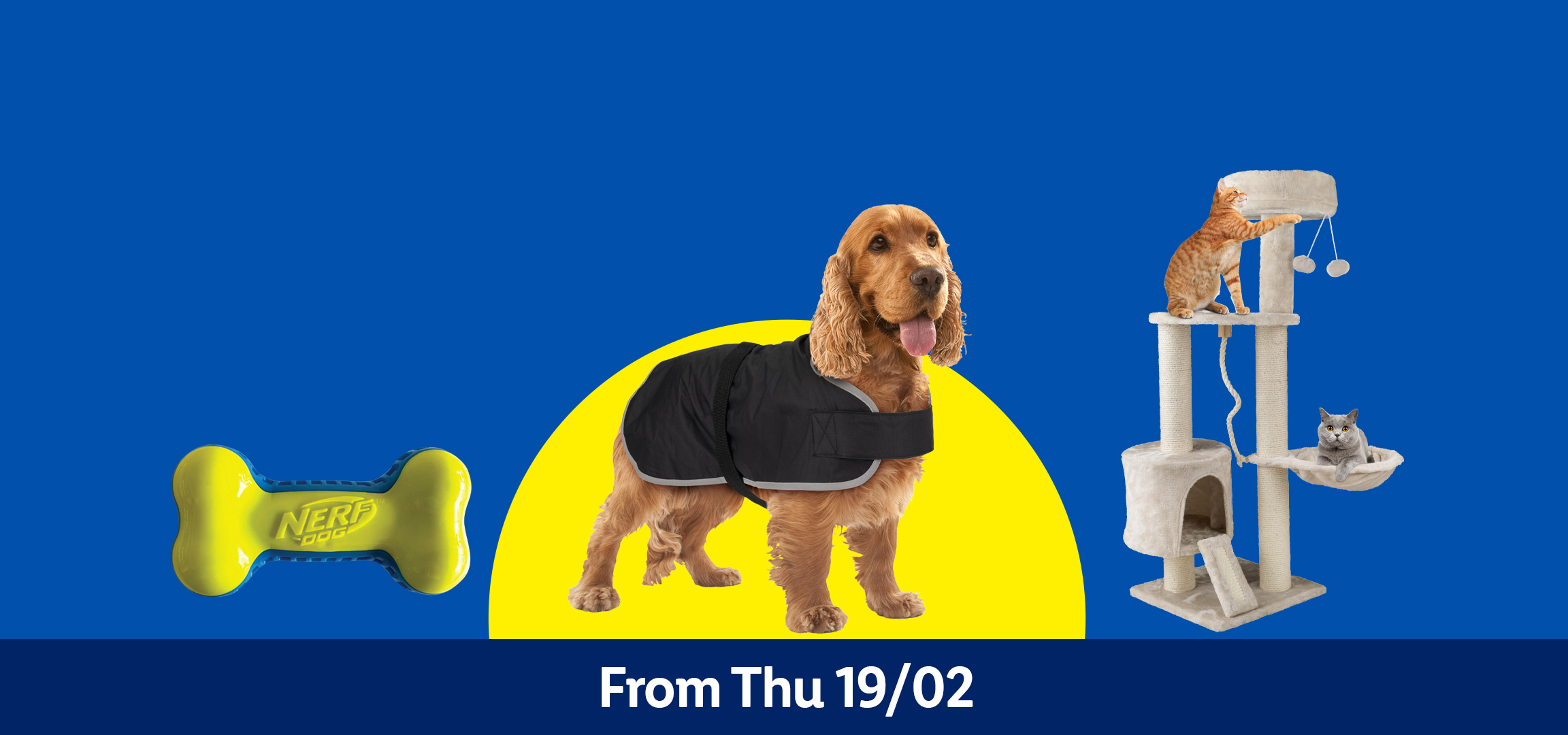 Pet supplies: dog toy, retractable leash, dog in coat, and cat tree with cats. From Thu 19/02.