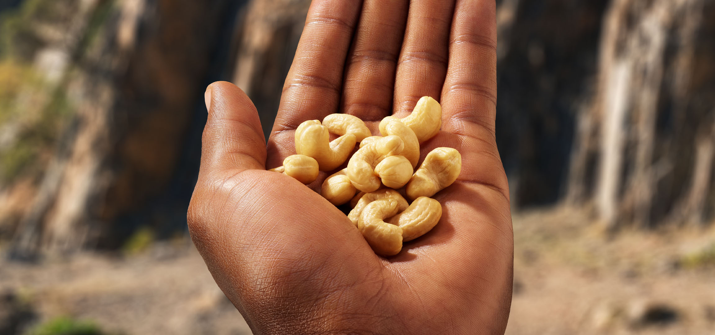 A handful of cashew nuts held in a palm against a blurred background.