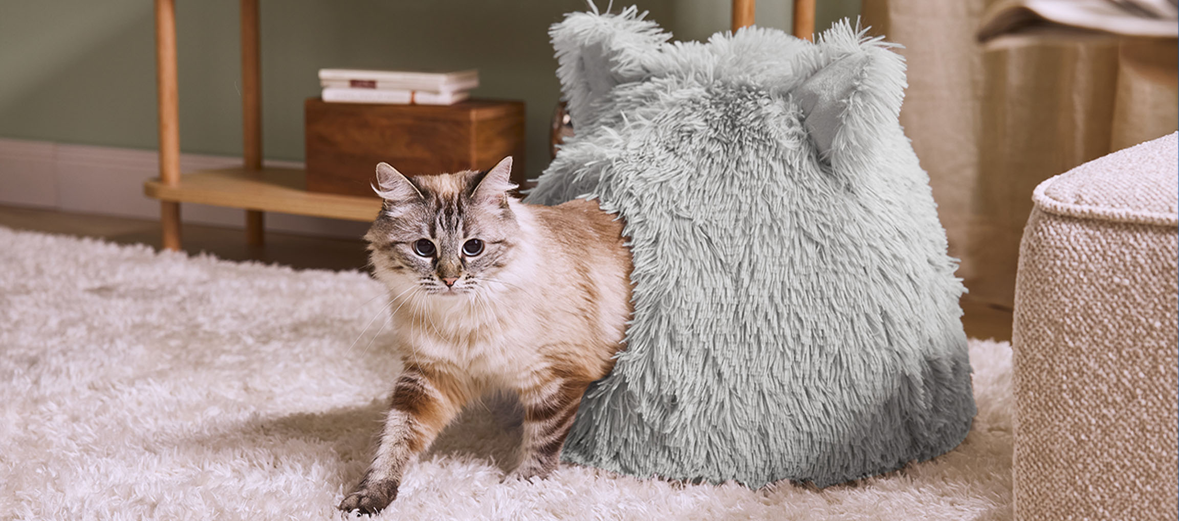Cat emerging from a grey fluffy cat bed on a white rug.